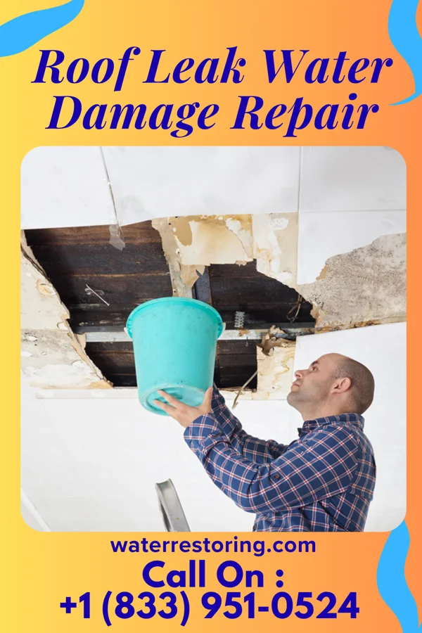Roof Leak Water Damage Repair in Shelley, ID